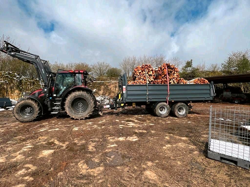 SBF Pronar T185 Hakenliftanhänger – Bild 3