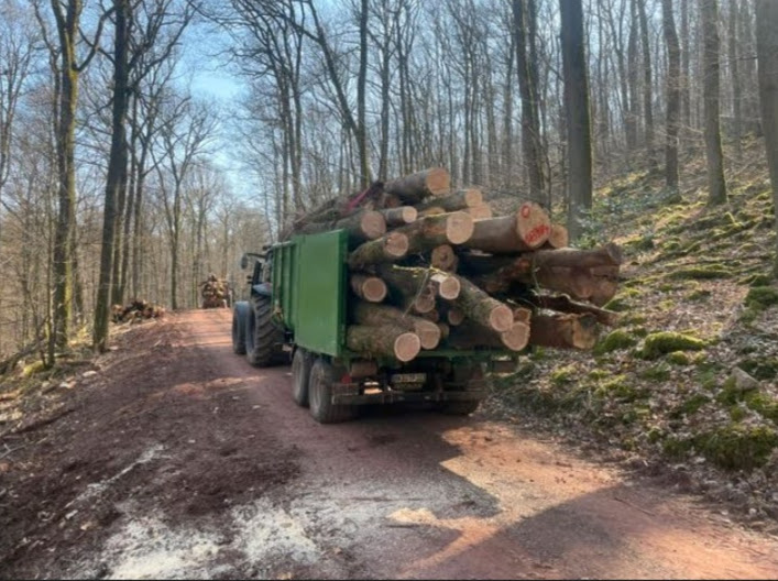 SBF Pronar T185 Hakenliftanhänger – Bild 2